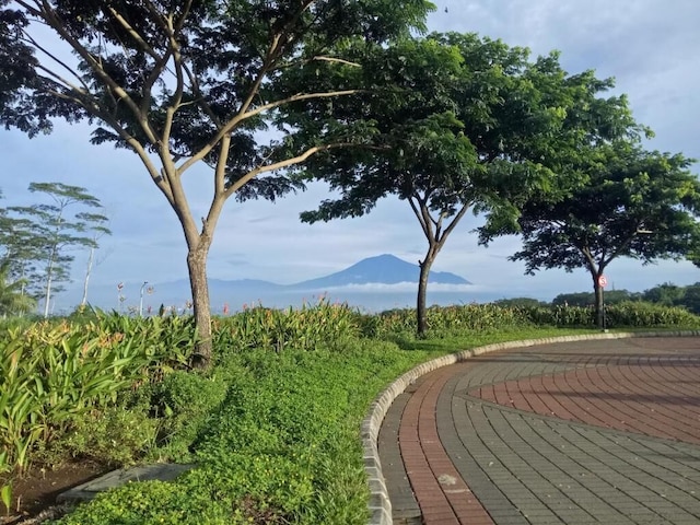 ザ・バレー・ゲストハウス