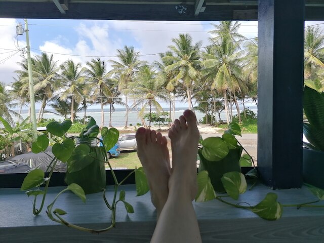 アイランド・ホッパー・ホテル