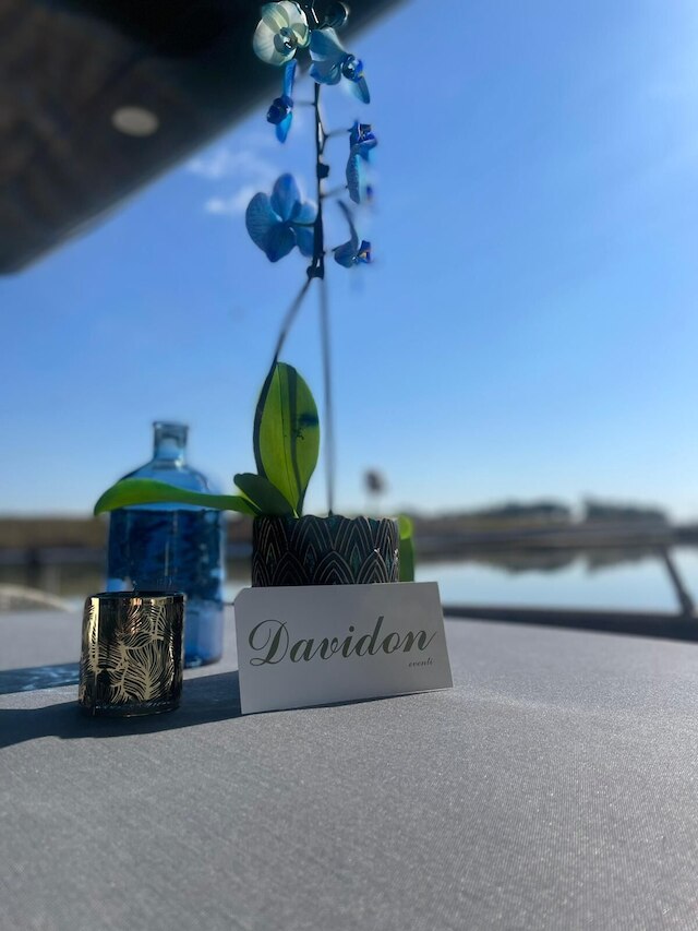 ダビドン ヨット