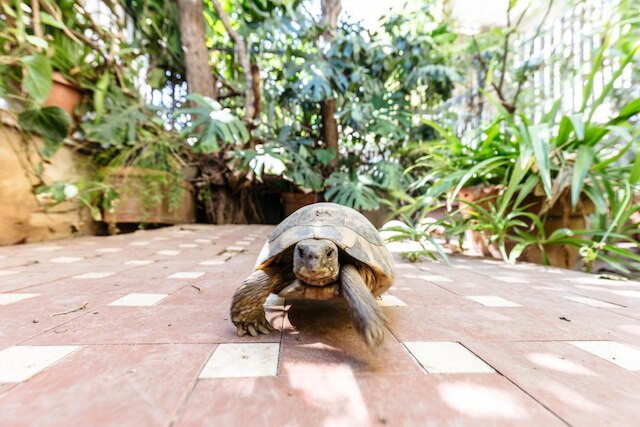 ウン ジャルディーノ セグレート ア パレルモ by ワンダフル イタリー