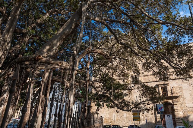 ルンガリーニ  アパートメント バイ ワンダフル イタリー