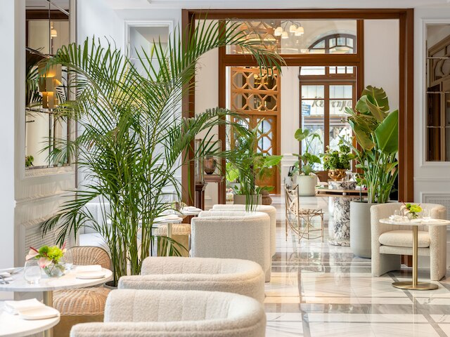 ザ ドリ アット アクロポリス, ア ホテル トゥ リブ