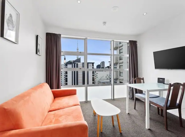 セントラル シティ ベッドルーム  アパートメント