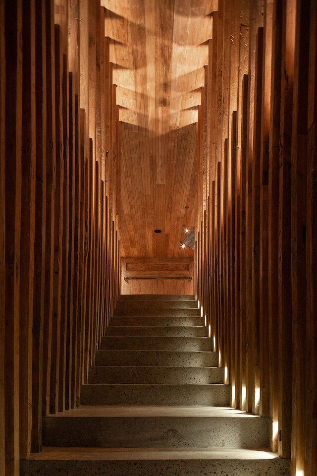 ザ アサ マイア