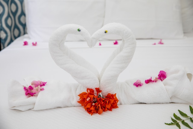 ニームビューアパートメンツアンティグア