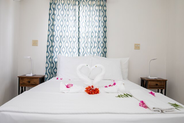 ニームビューアパートメンツアンティグア