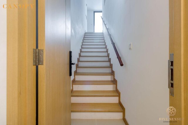 ザ コロニー & ザ ラックス, クアラルンプール バイ キャノピー ライブズ