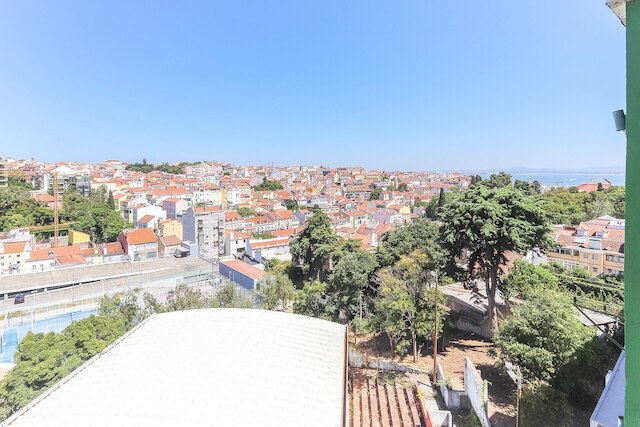 エストレラ パノラミック ビュー バイ ホーミング