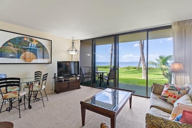 シュガービーチ リゾート, #130 1 ベッドルーム コンド バイ レッドオーニング