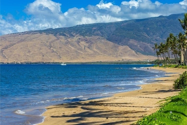 マアラエア サーフ, #c-8 2 ベッドルーム コンド バイ レッドオーニング