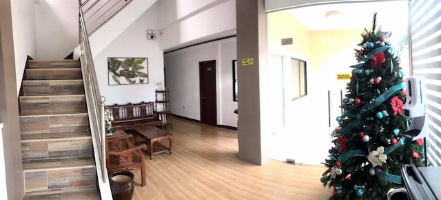 カンポテルダバオ