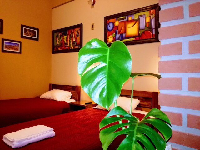 ホスタル・カグナパ・レストバー