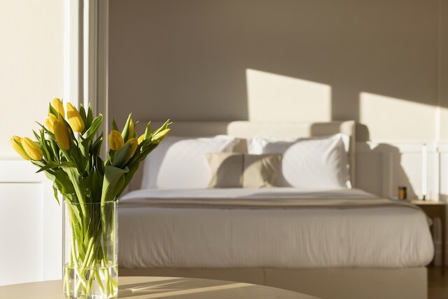 メリティ  アパートメント イン プラカ