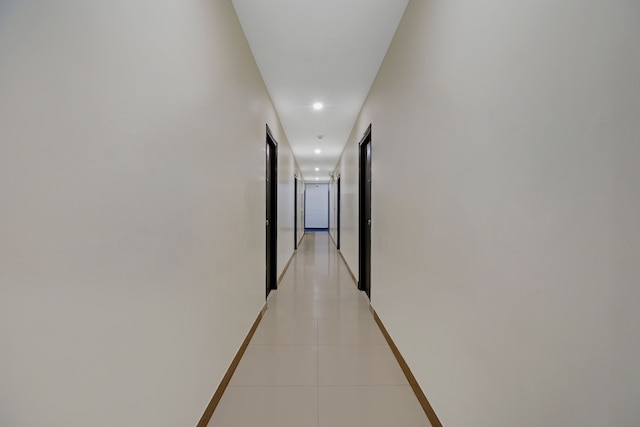 トリーボ ブルーベリー イン