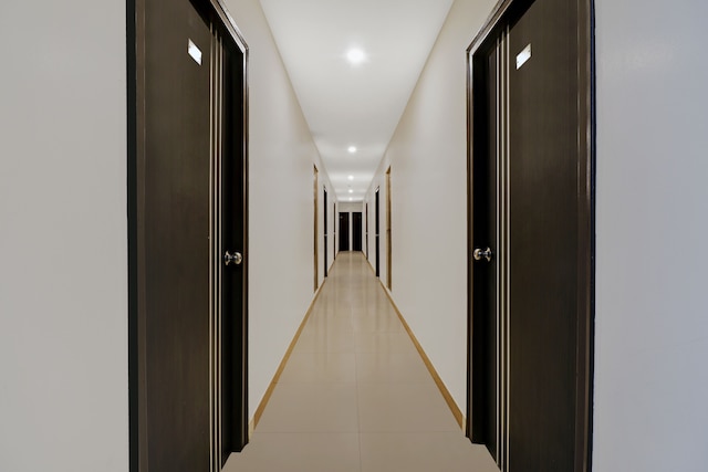 トリーボ ブルーベリー イン