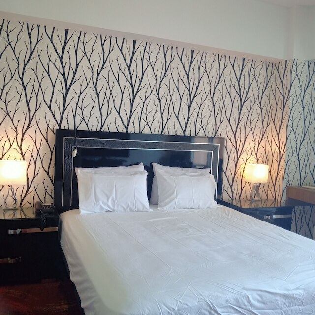 ベネチア レジデンス タワー アレッサンドロ