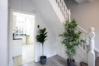 サファリ・ハウス - アルティメイト・リラクゼーション