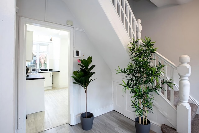 サファリ・ハウス - アルティメイト・リラクゼーション