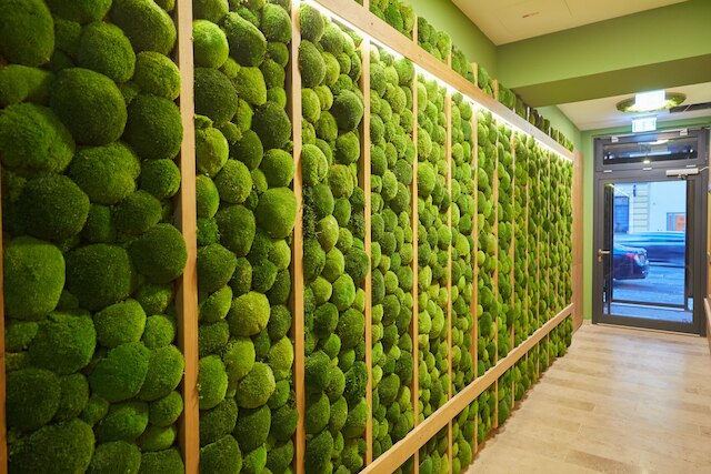 グリーン・レジャー・アパートメント