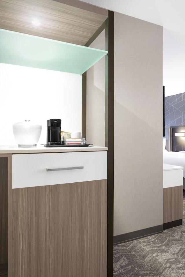 スプリングヒル スイーツ バイ マリオット コロンビア・ニア フォート ジャクソン