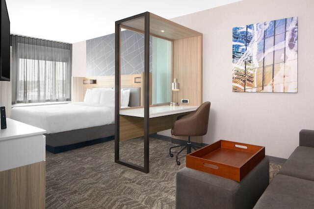 スプリングヒル スイーツ バイ マリオット コロンビア・ニア フォート ジャクソン