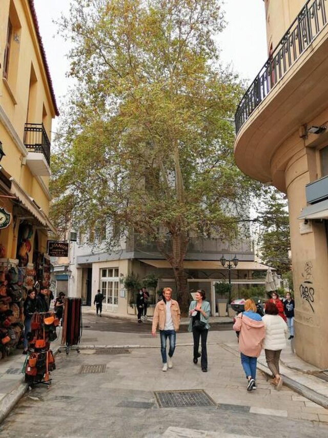 マグニフィセント  アパートメント  アンダー ザ アクロポリス