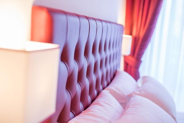 マゼンタコレクションアルゼンチナ