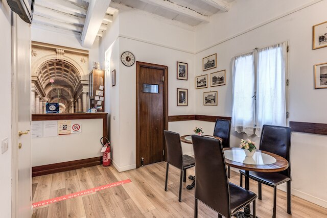 マジェンタコレクションカンチェロ