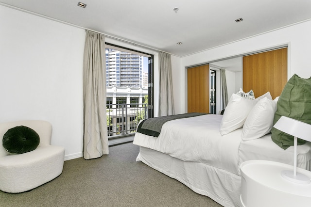 広々とした高架橋の聖域