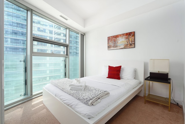 ダウンタウン・トロント・ニア・CNタワー