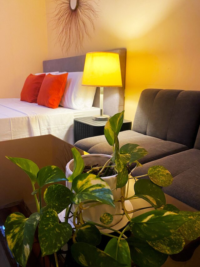 リトルノルウェーゲストハウス