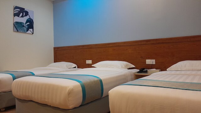 TDキャピタル・ホテル