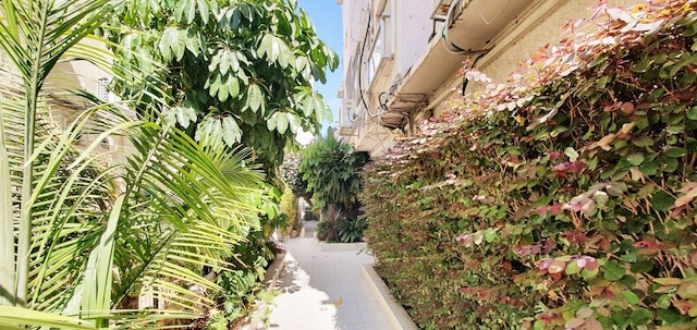 ディゼンゴフ ブリーク イン テル アビブ ヤフォ