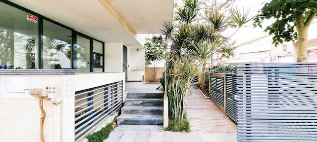 カリッシャー オフリーズ イン テル アビブ ヤフォ