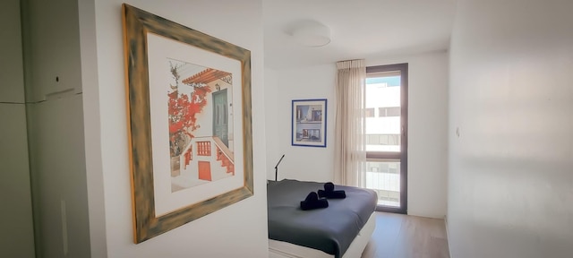 マオン サフィル イン テル アビブ ヤフォ