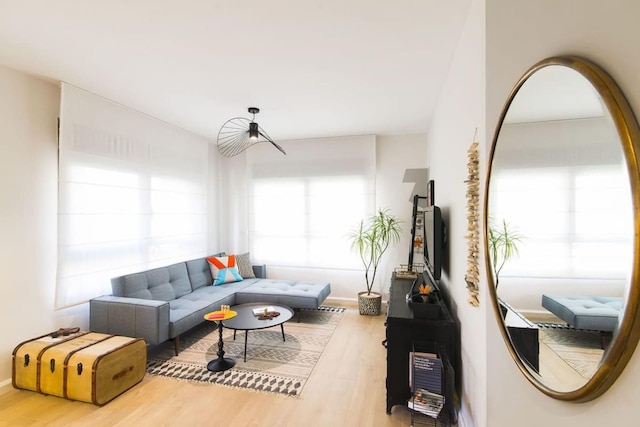 ツヨーナ キャッチミア イン テル アビブ ヤフォ