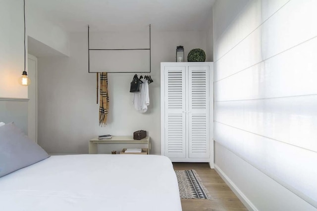 ツヨーナ キャッチミア イン テル アビブ ヤフォ