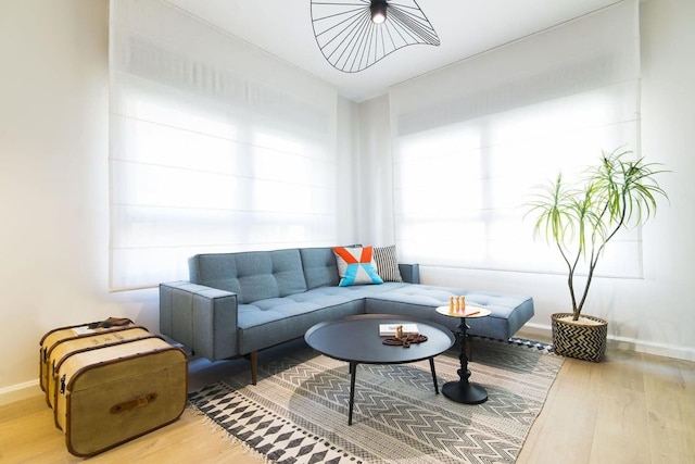 ツヨーナ キャッチミア イン テル アビブ ヤフォ