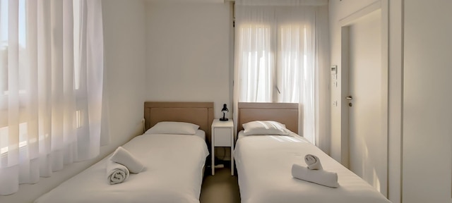 パインズ ベル イン テル アビブ ヤフォ