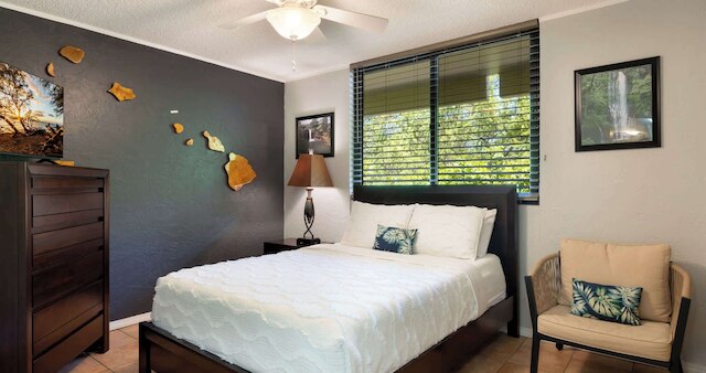 ステップス フロム マジック サンズ プール, WiFi & アトラクションズ