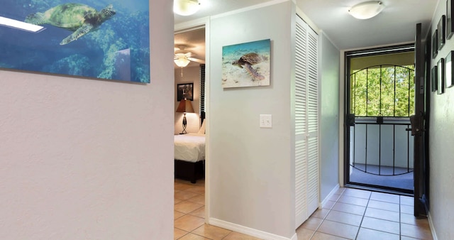 ステップス フロム マジック サンズ プール, WiFi & アトラクションズ