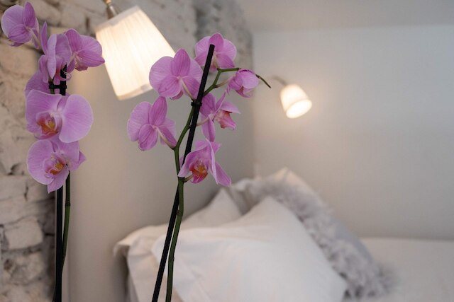 デザイン ロフト イン フローレンス