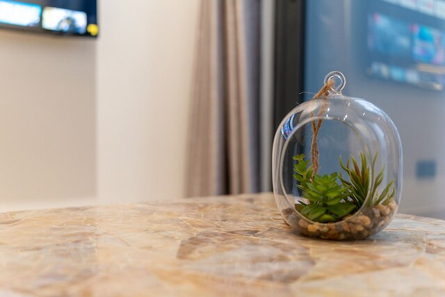 ザ リックス ラヴィッシュ アパートメント