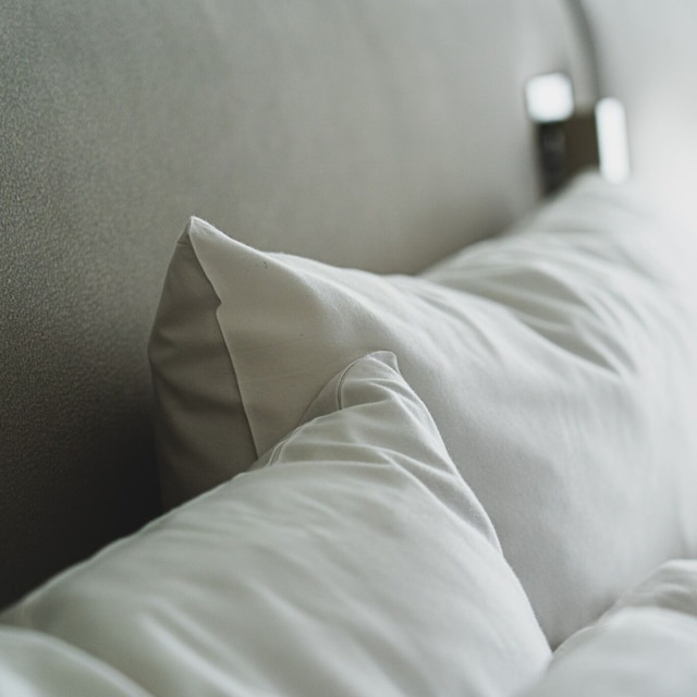 パーク・ハイツ・バイ・ザ・ウォレン・コレクション