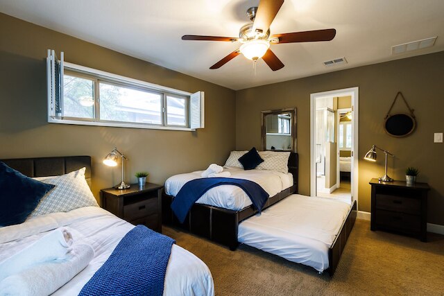 スコッツデール デザート パラダイス