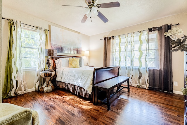 ミスター ウィルソン