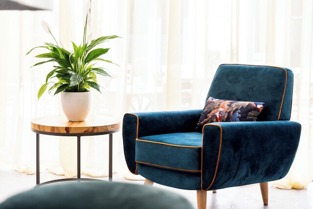 プレイ プシリ, ア メンバー オブ ブラウン ホテルズ