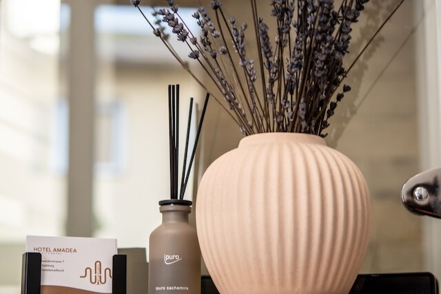 アマデア - シティホテル ザルツブルク