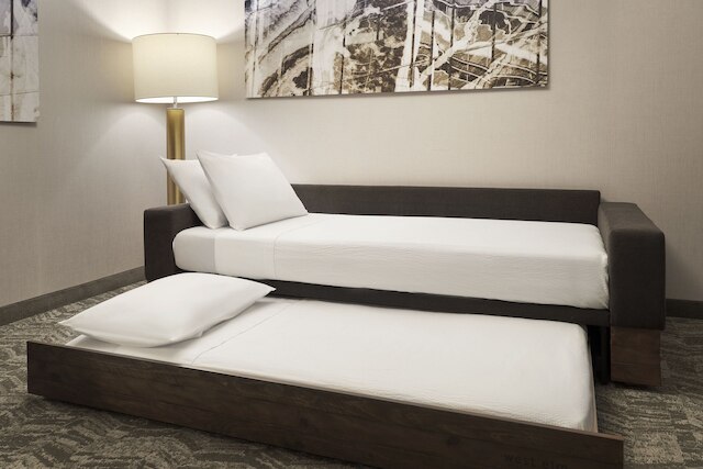 スプリングヒル スイーツ バイ マリオット ラスベガス・エアポート