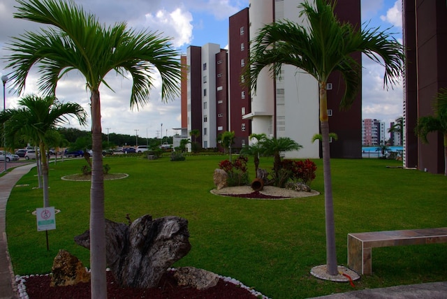 デパルタメント ホザネク エン ドリーム ラグーンズ